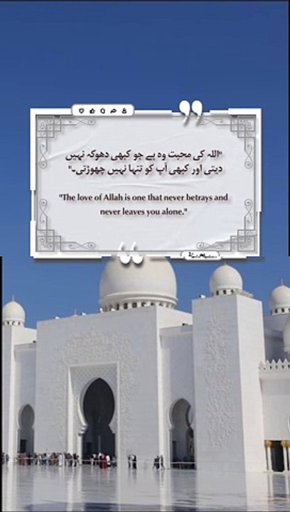 Best Quotes #shorts #shortvideo #shortsfeed #short #shortsviral #quran #video #viralvideo #islam