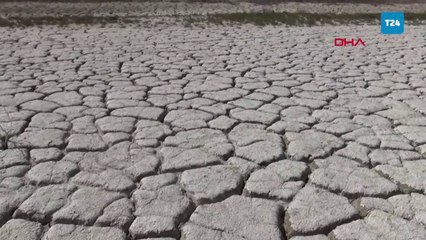 Son 60 yılda Türkiye'deki 240 gölden 186'sı kurudu: Vahşi tarımsal sulama sona ermeli