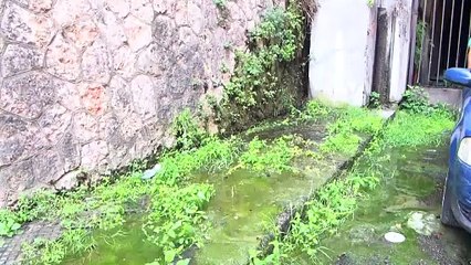 Galleria Santa Marta: Art & Culture Hub 🎨