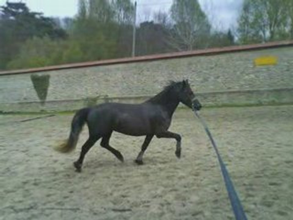 Poy par caro
