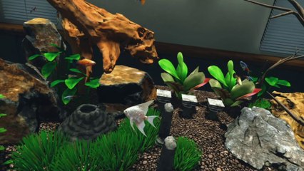 Aqua Scape FIRST IMPRESSIONS on Quest 3