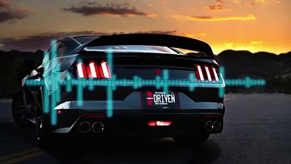 Why Do Cars Make Loud Noises? 🚗