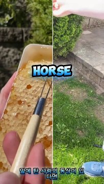 Mind Blowing Shower Thoughts(Korean subtitle video)