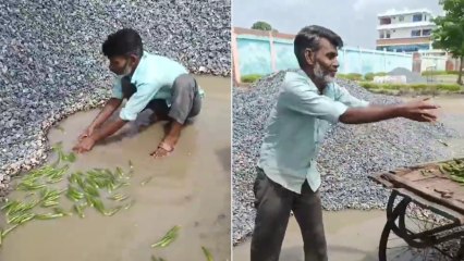 Video: गंदे पानी में सब्जी धोने का वीडियो वायरल, राहगीरों ने पूछा नाम और लगाई फटकार