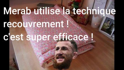 Sean vs Merab : La machine à décision ne s'est pas enraillée ! #ufc #mma #ufc306