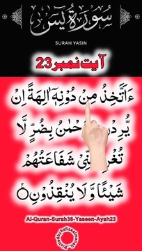 Al-Quran - Surah 36 - Yaseen - Ayah 23 | daily tilawat quran | hafiz salman ali