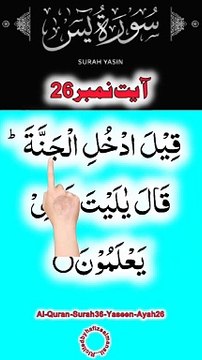Al-Quran - Surah 36 - Yaseen - Ayah 26 | daily tilawat quran | hafiz salman ali