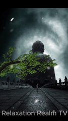 Your Daily Peaceful Moments