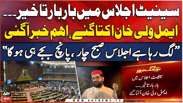 Lag Raha Hai Senate Session Subha Hi Hoga , Aimal Wali Khan