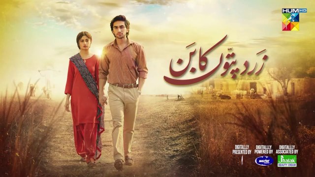 Zard Patton Ka Bunn - Ep 19 [CC] - 15 Sep 24 - Sponsor By Gofy, Master Paints & Jhalak Beauty Cream