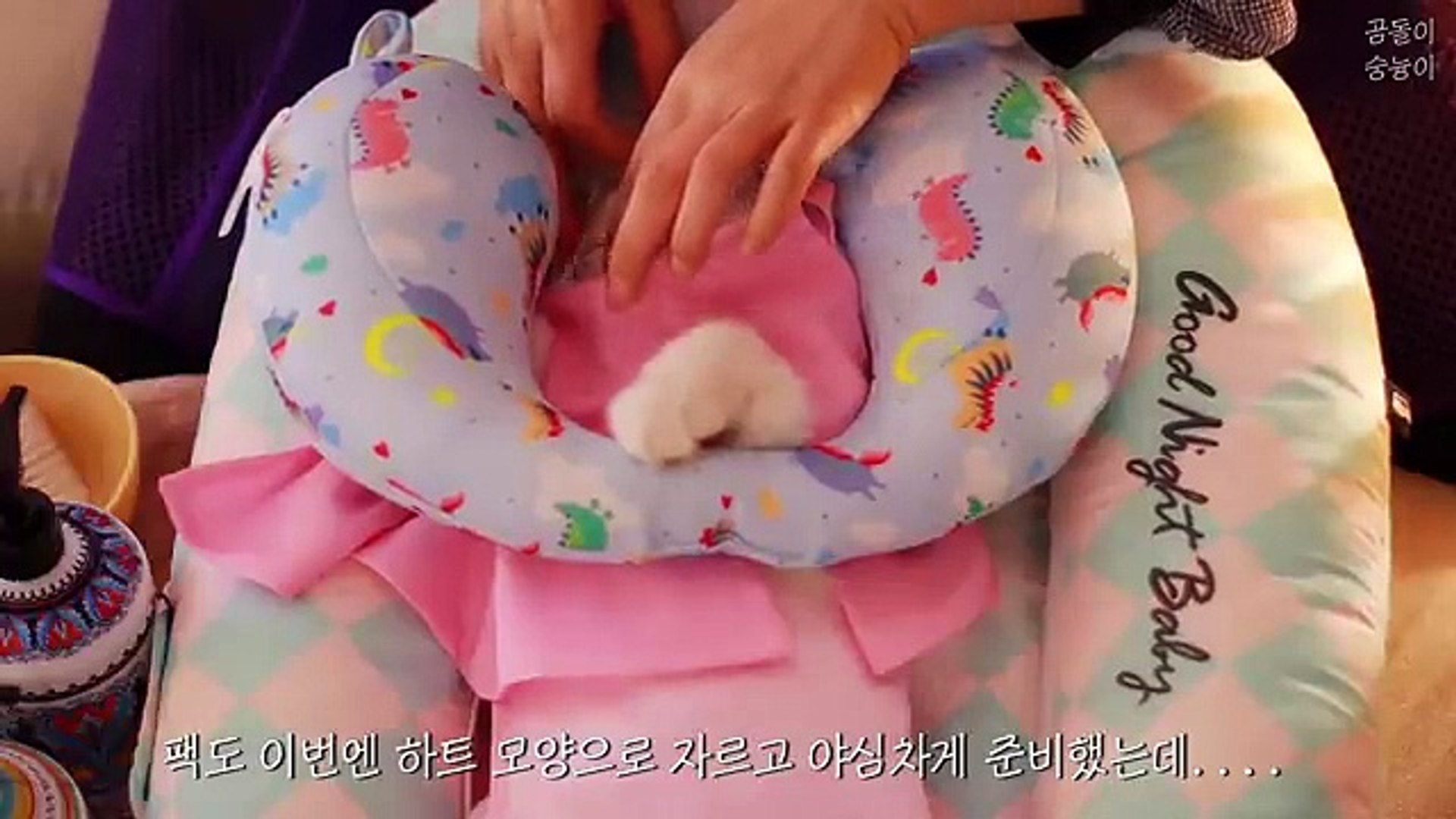 ⁣CAT SPA ASMR