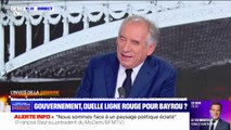 François Bayrou (président du MoDem): 