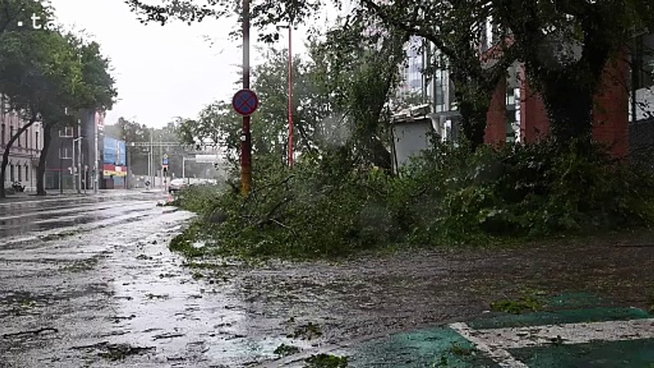 BRATISLAVA: Spadnuté stromy po silnom vetre a dažďoch