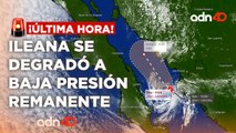 ¡Última Hora! Ileana se degradó a baja presión remanente