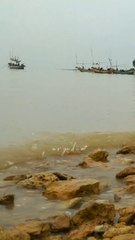 Sukses Tak Terlu Berdasi