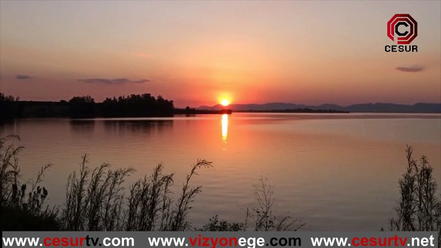 Doğu Türkistan Uygur Cemaat yapılanması