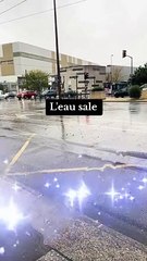 L'eau sale n'empêche pas les plantes de pousser