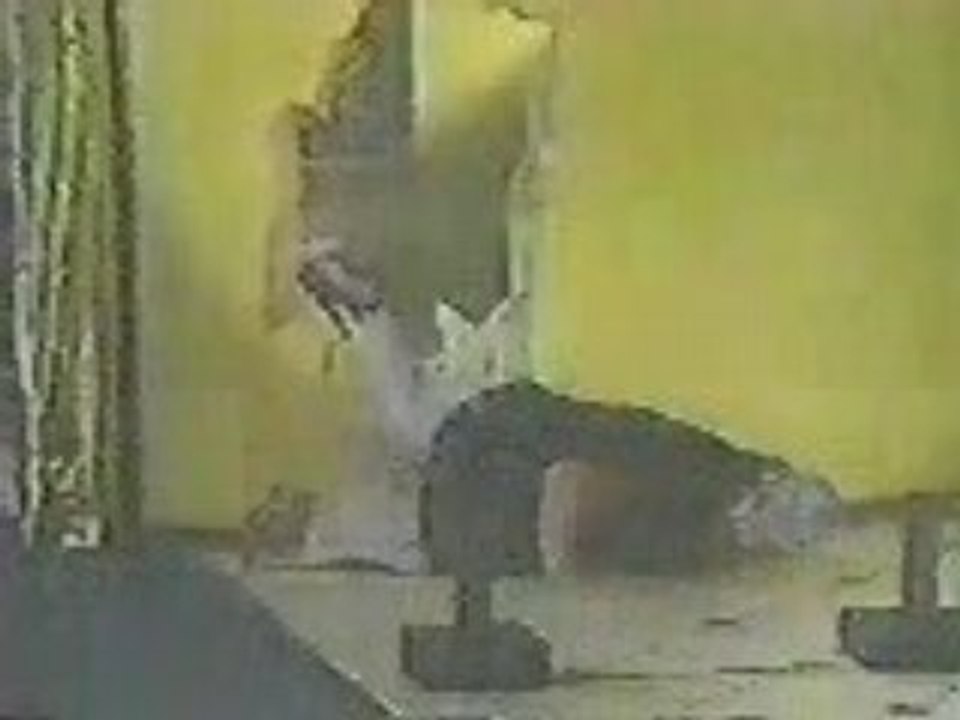 WCW - Shockmaster Debut [Hilarious]