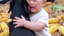 Baby and his dog