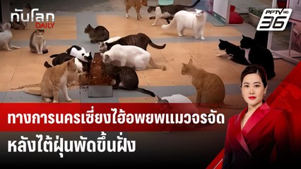 ทางการนครเซี่ยงไฮ้อพยพแมวจรจัด หลังไต้ฝุ่นพัดขึ้นฝั่ง | ทันโลก DAILY | 17 ก.ย. 67