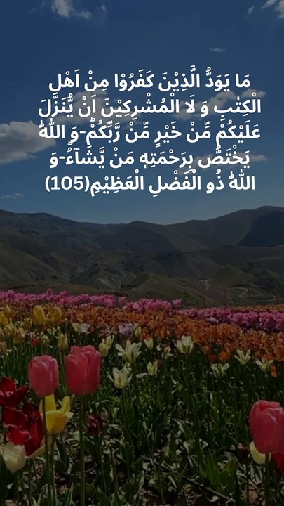 Surah Al Baqarah verse 105
