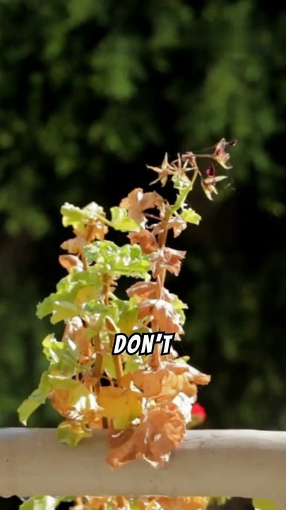 motivational   #reels #motivation #viralshort #shortvideo #trueline #english #trending #video #tiktok #whatsappstatus