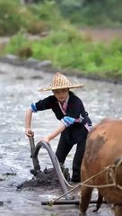 #RuralLife #FarmLife #CountryLiving #NatureLovers #Homesteading #OffGridLiving #SimpleLiving (10)