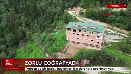 Trabzon’da bir besici, hayvanları için dört katlı apartman yaptı