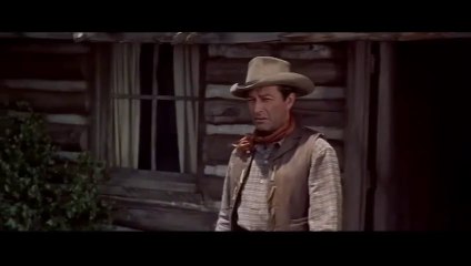 IRMÃO CONTRA IRMÃO