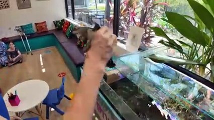 Therapy turtle helps young people in need