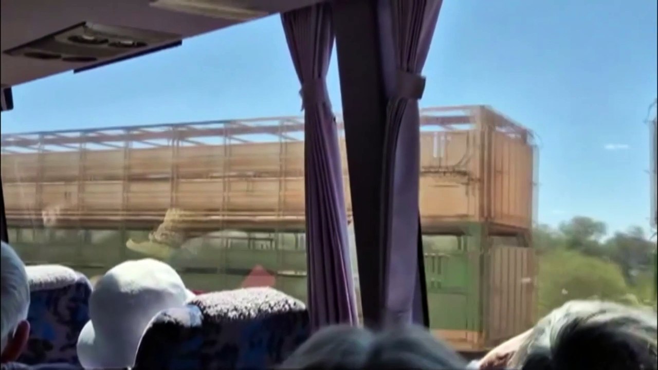 Cattle truck collides with train just north of...