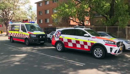 Sydney woman in her sixties killed by falling tree branch