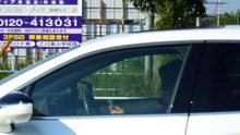 Countless Crazy Drivers in Japan!