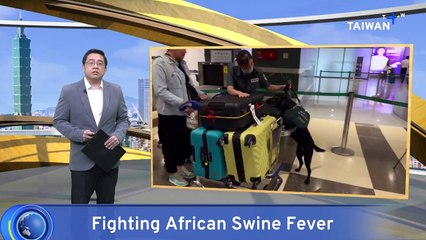 Taiwan Steps Up Inspections for African Swine Fever Ahead of Mid-Autumn Festival