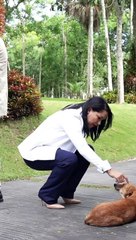 Firman Pacto por los Animales en SFM