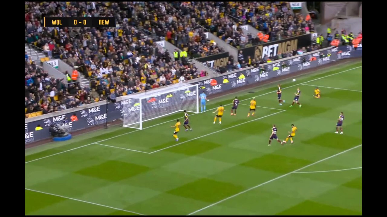Highlight Wolves vs Newcastle 1-2