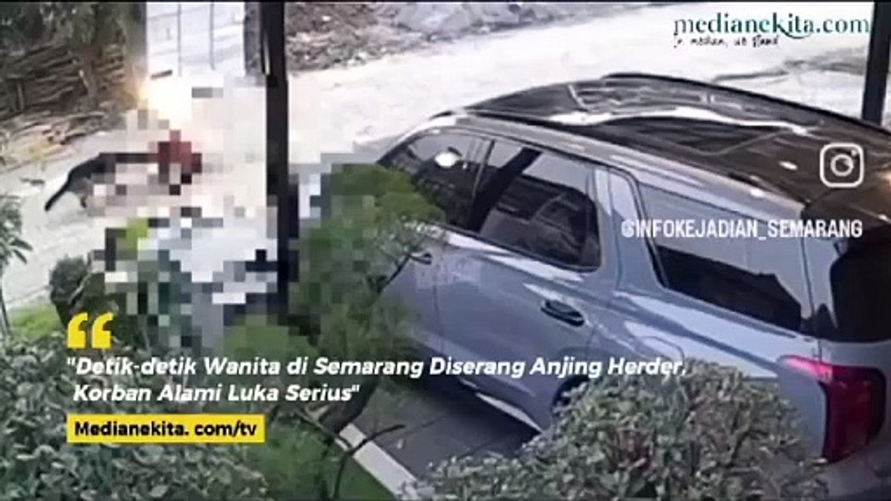 Mengerikan! Wanita Hampir Tewas Diterkam Anjing Herder di Taman Angrek Graha Padma Semarang