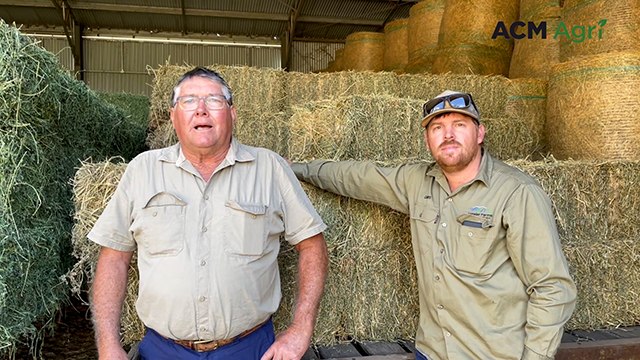 Natalier Farm | Queensland Country Life