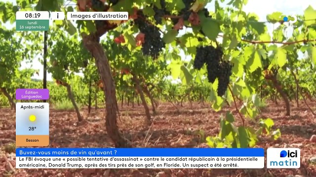 Rémi Dumas, viticulteur et président de JA 34