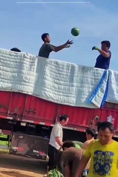 Great Teamwork #shorts #shortvideo #video #virals #videoviral #innovationhub