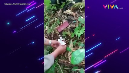 Fakta Pembunuh Nia Gadis Penjual Gorengan di Sumbar