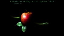 Biblisches für Montag, den 16. September 2024 zu Römer 6,5-7