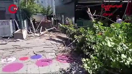 Kadıköy'de ağaç devrildi: Otomobil zarar gördü