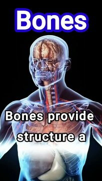 Parts of body name | human body parts organ