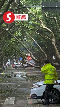 Typhoon Bebinca lands in Shanghai, strongest storm to hit city since 1949