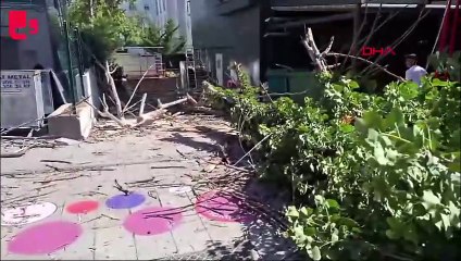 Ağaç sokağa devrildi; otomobil zarar gördü