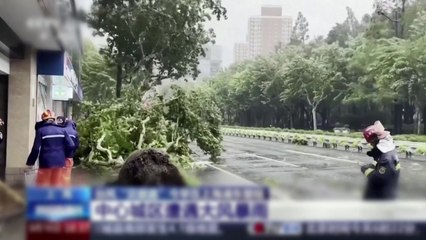 태풍 '버빙카' 상하이 상륙..."75년 만에 최강" / YTN
