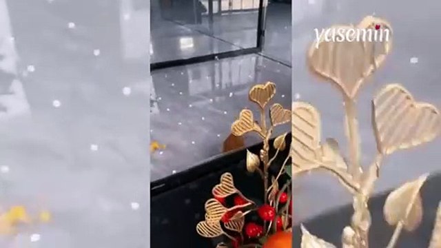 Anne kedinin evlat sevgisi görenlerin içini ısıttı! Yavrusunu doyurması için...