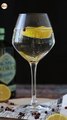 Gin tonic, le cocktail incontournable pour l'apéritif!