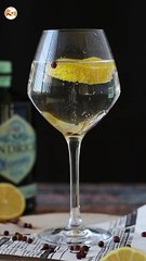 Gin tonic, le cocktail incontournable pour l'apéritif!
